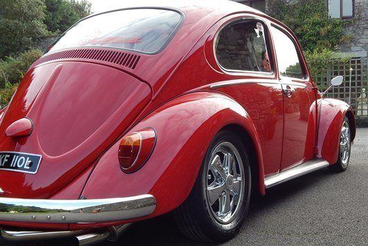 Beetle Pic 1