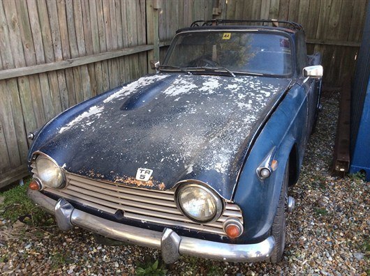 Triumph TR5